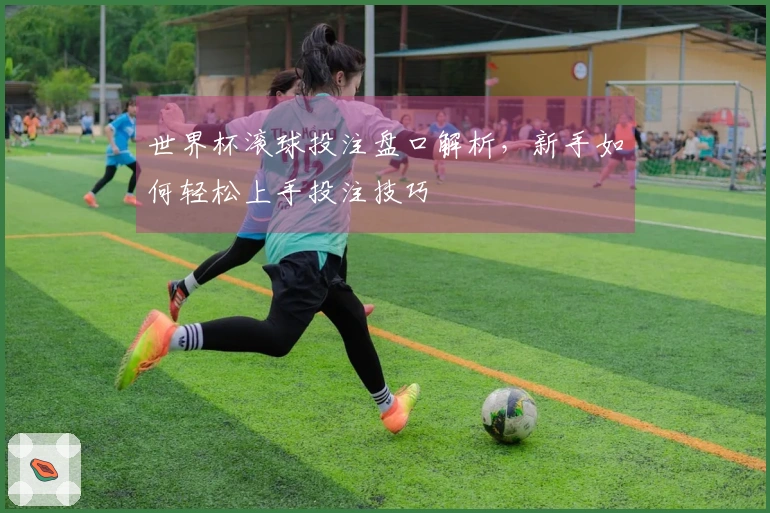 世界杯滚球投注盘口解析，新手如何轻松上手投注技巧