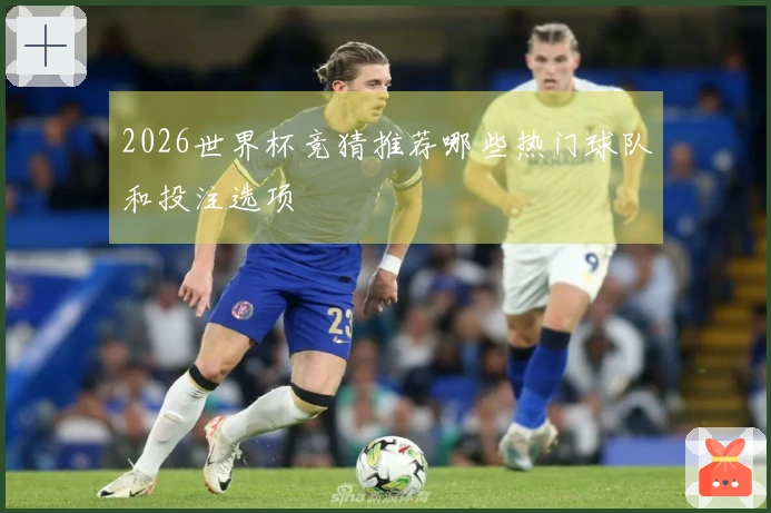 2026世界杯竞猜推荐哪些热门球队和投注选项