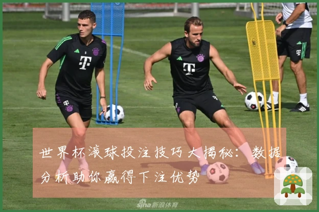 世界杯滚球投注技巧大揭秘：数据分析助你赢得下注优势