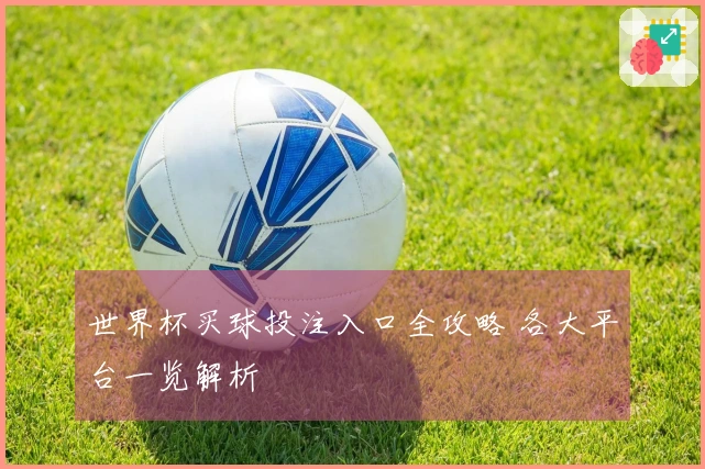 世界杯买球投注入口全攻略 各大平台一览解析